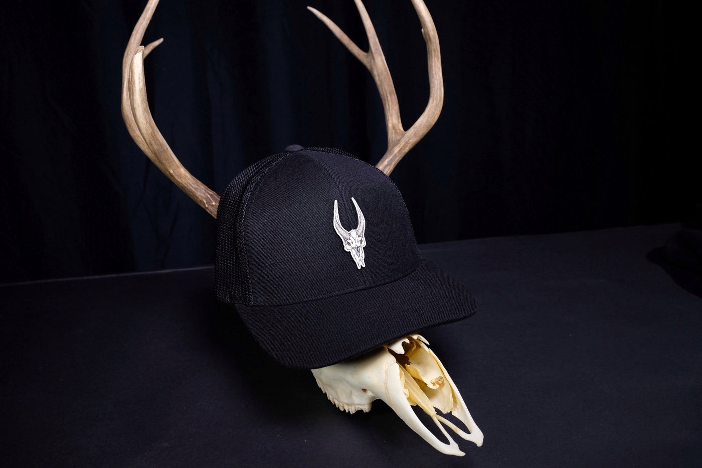 Dagr & Nott Cap